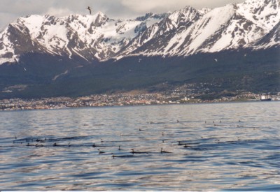 Blick auf Ushuaia