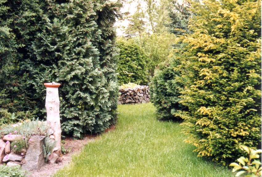 Querblick